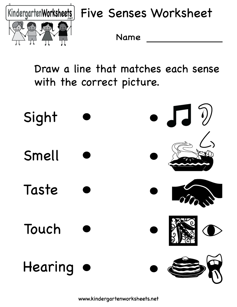 Printable Five Senses Worksheet Kindergarten