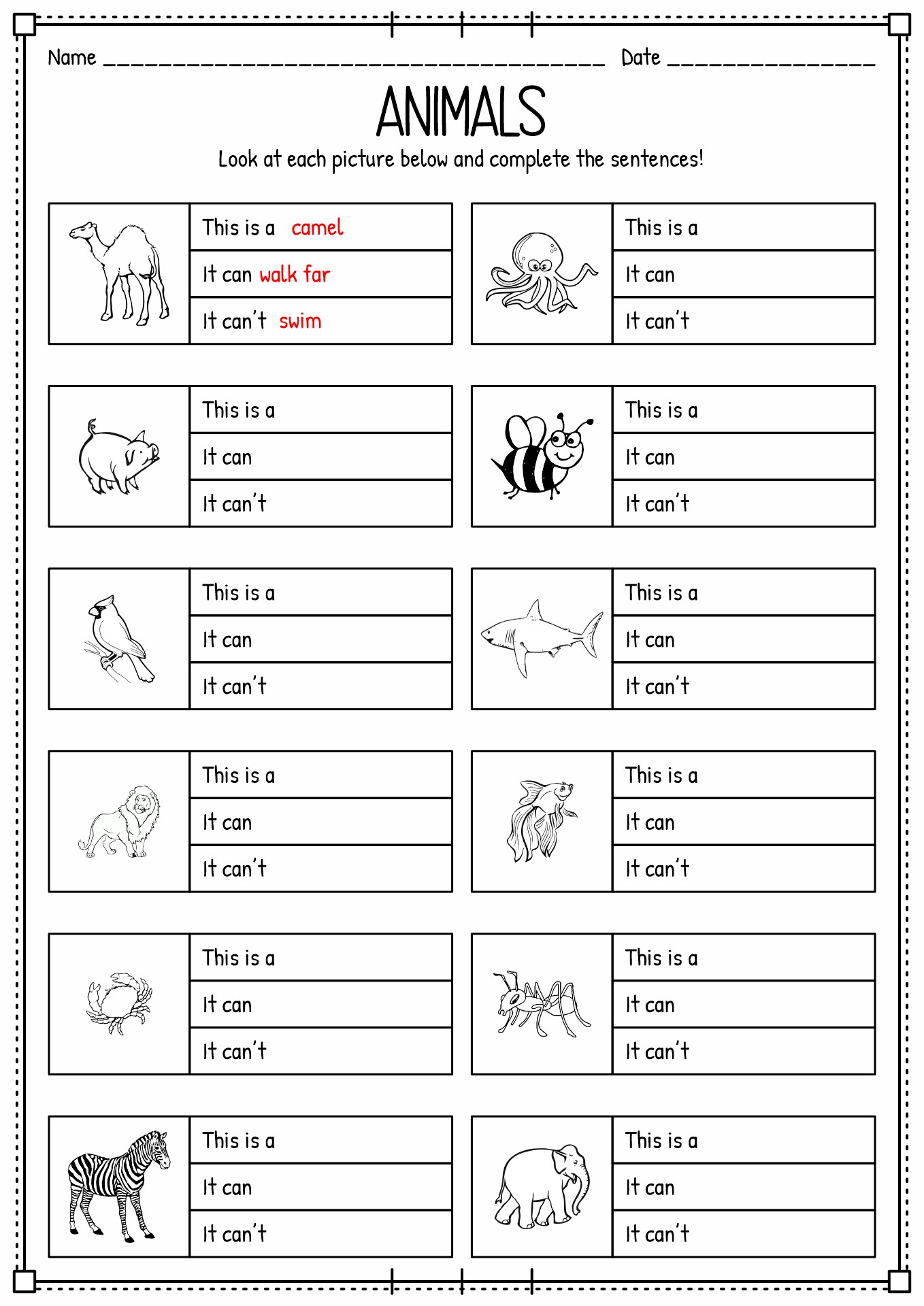 3rd Grade Animal Worksheets