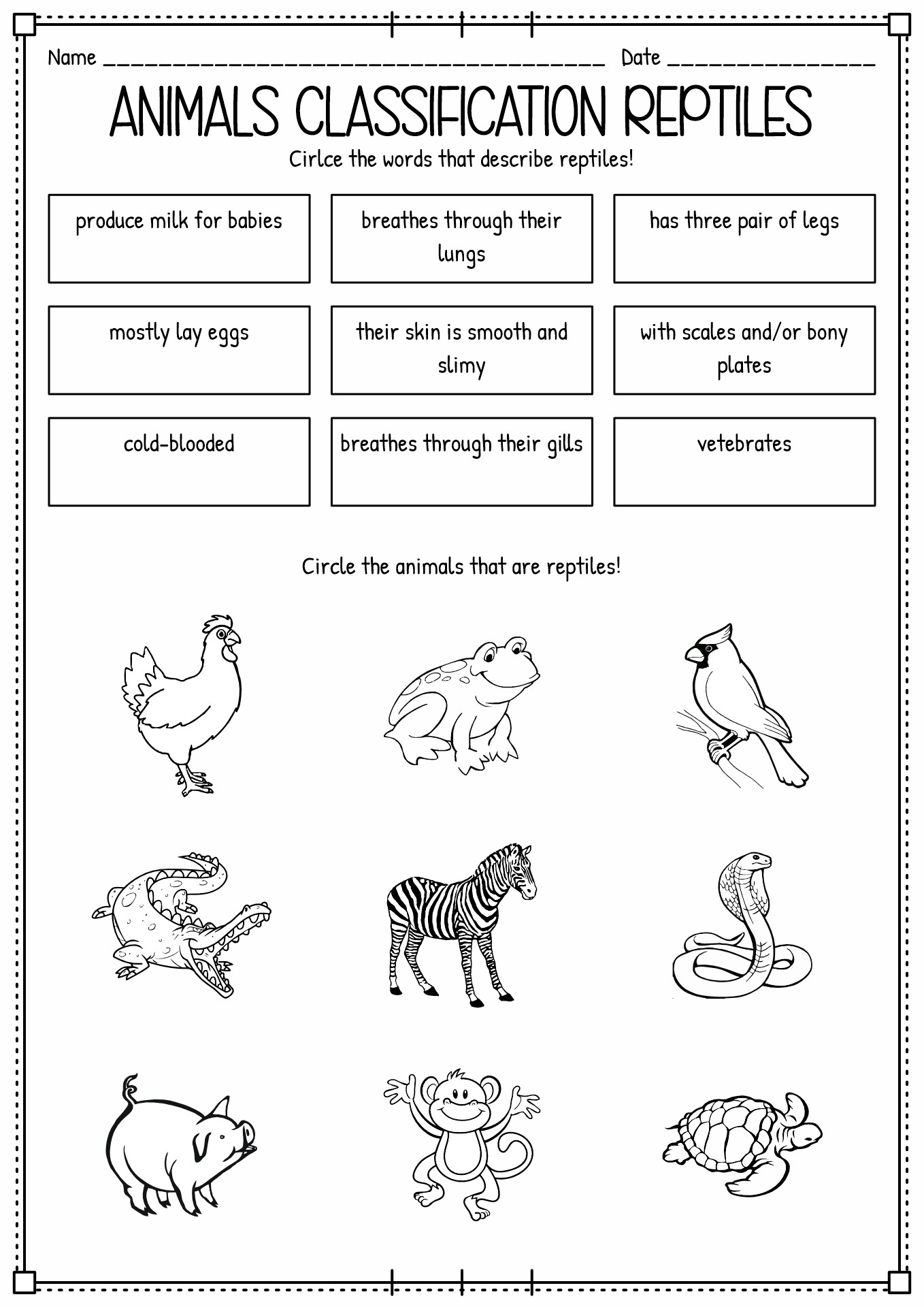 Animal Classification Worksheet