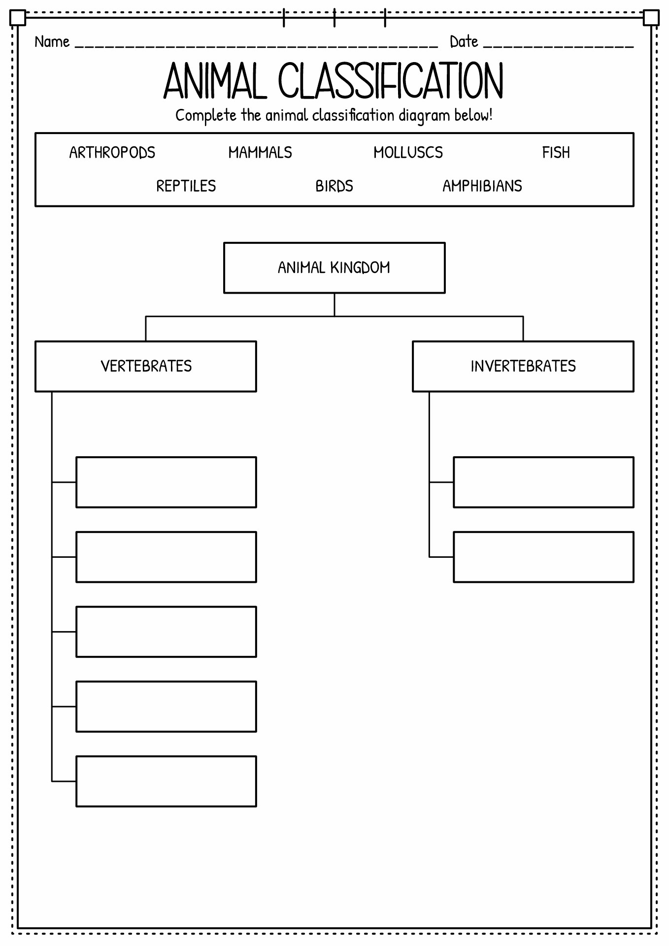 Animal Kingdom Classification Worksheet