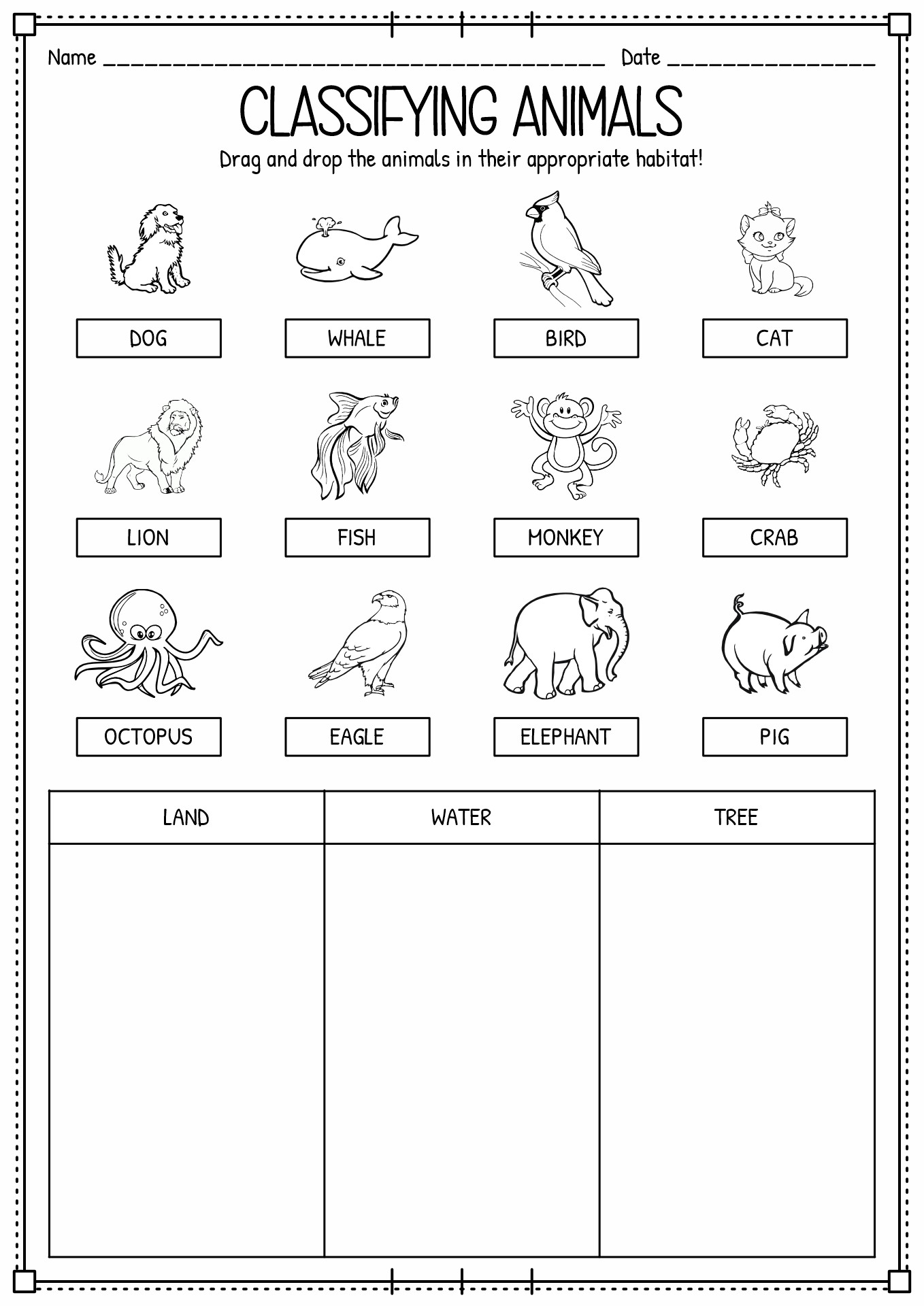 Classifying Animals Worksheets