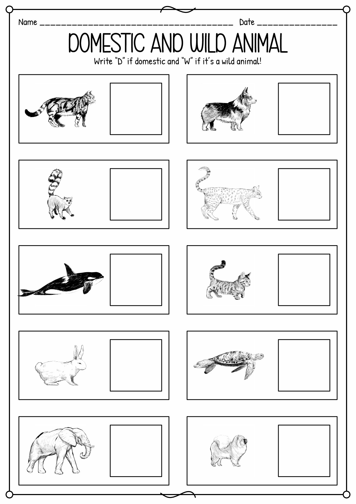 Domestic and Wild Animals Worksheet