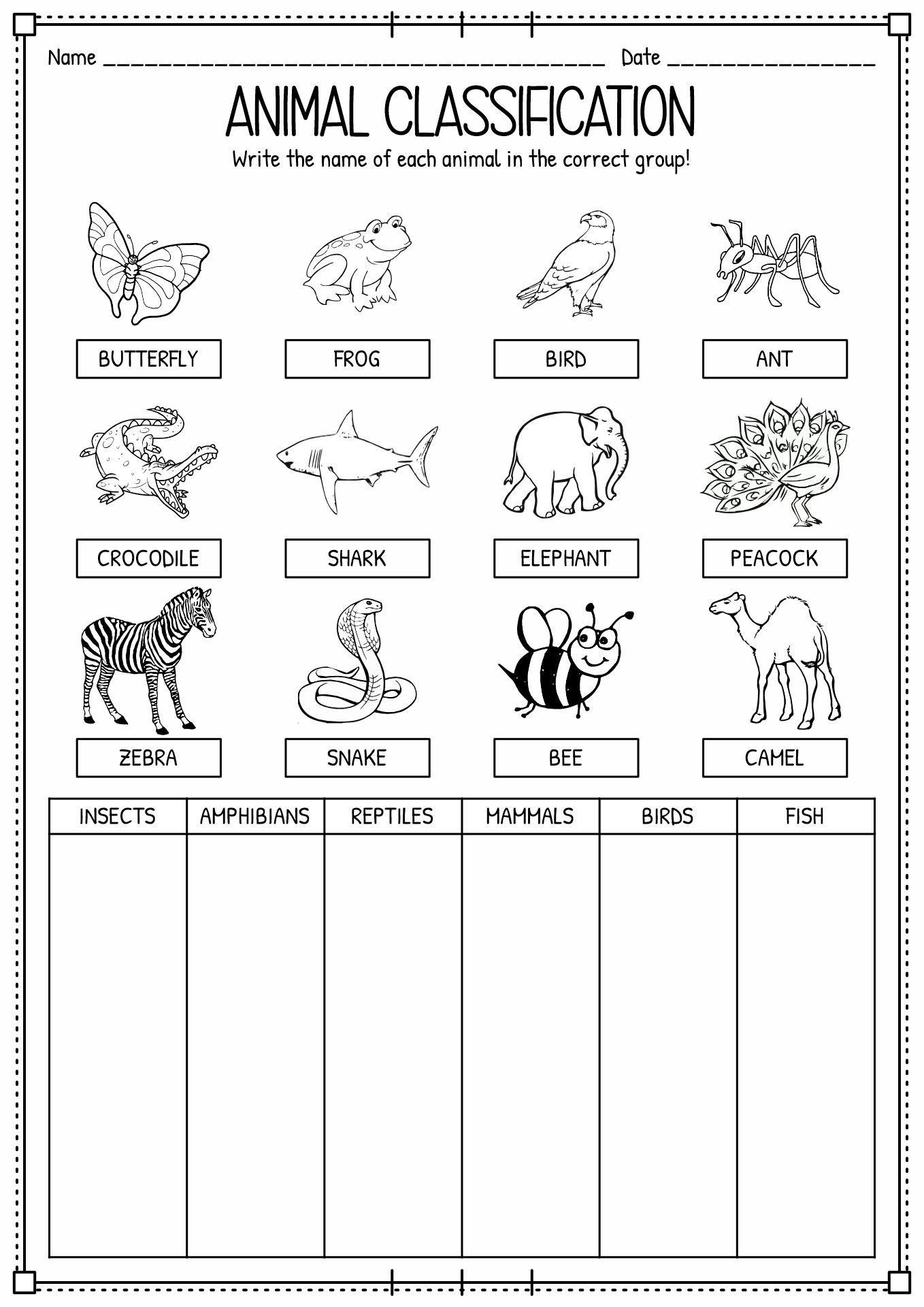 First Grade Animal Classification Worksheets
