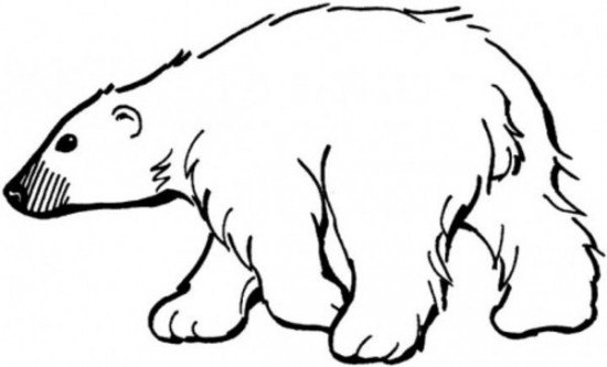 Polar Bear Coloring Pages Image