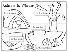 Winter Animals Printable Activity Worksheets Image