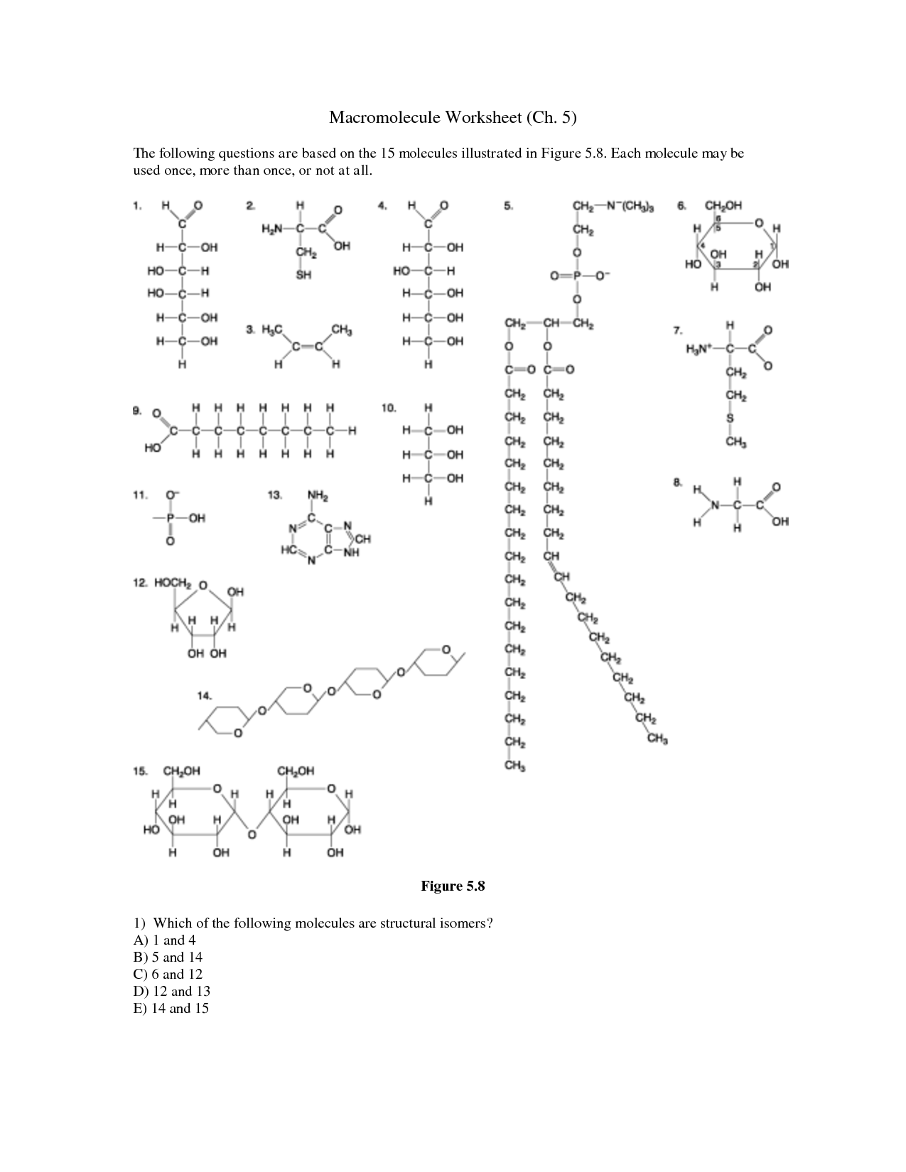 15-macromolecules-worksheet-2-answers-worksheeto