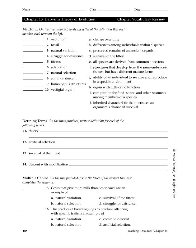 The Theory Of Evolution Worksheet Answer Key