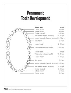 Dental Health Activity Sheets Image