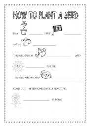 How to Plant a Seed Worksheet Image