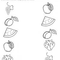 Printable Fruit Worksheets Preschool
