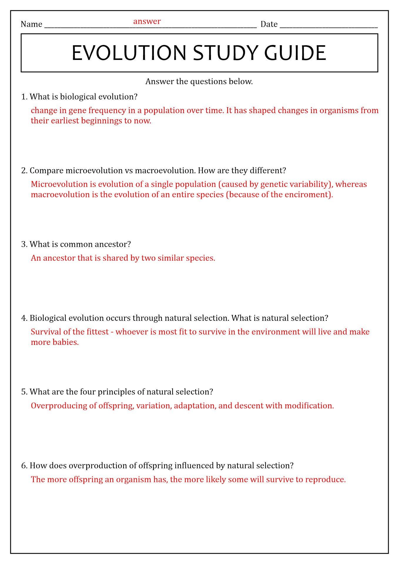 17-cell-vocabulary-worksheets-worksheeto