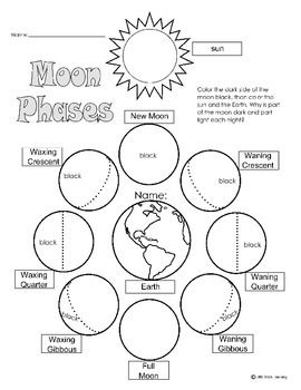 Moon Phases Worksheet Image