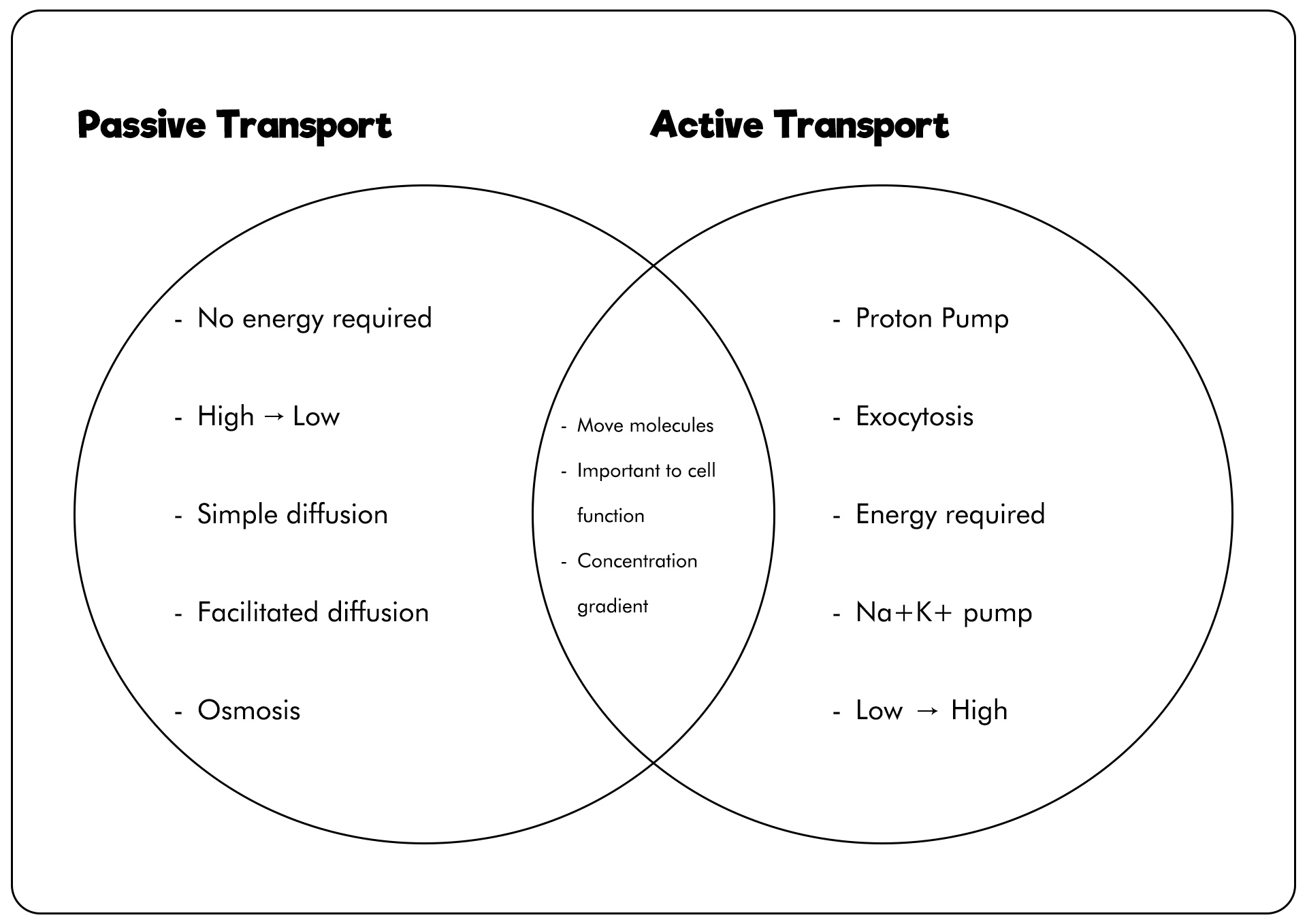 Active Transport and Diffusion Venn Diagram Image