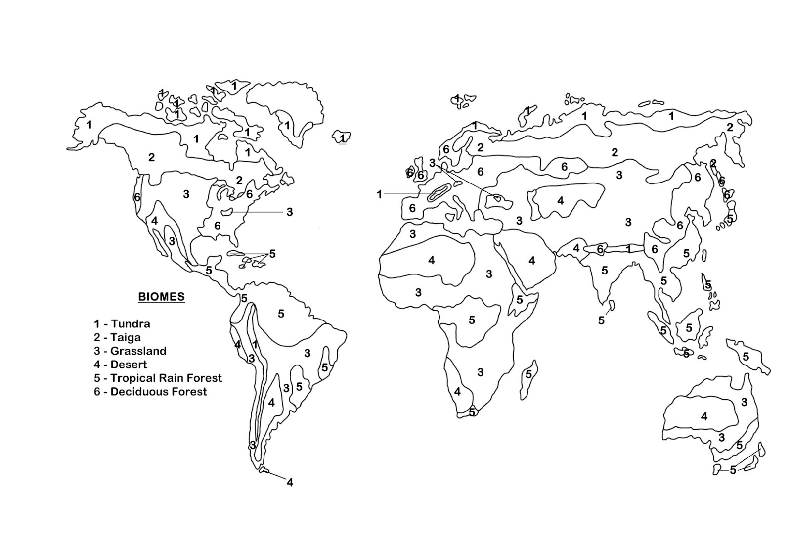 14-north-american-biomes-map-worksheet-worksheeto