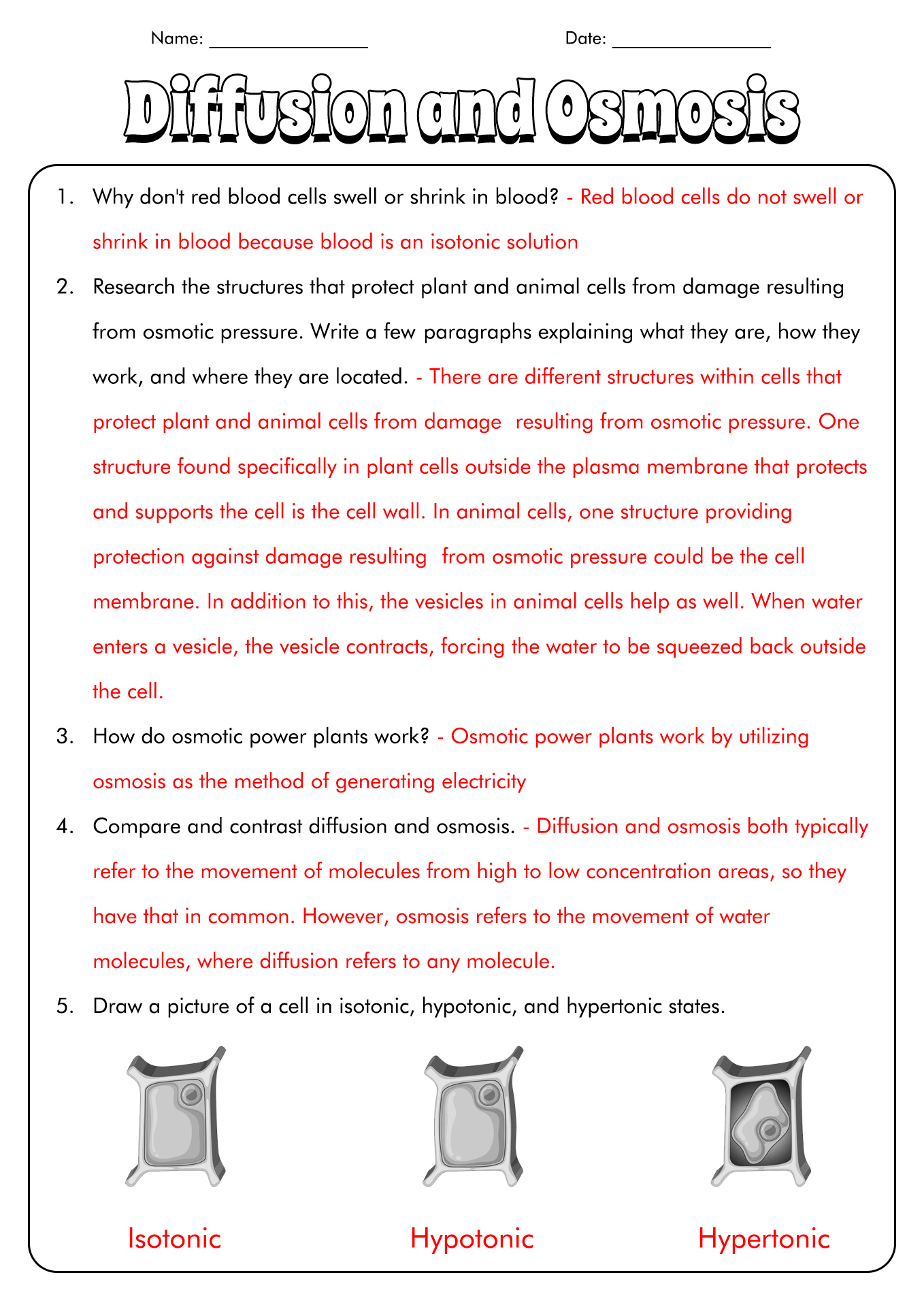 16-diffusion-osmosis-active-transport-worksheet-worksheeto