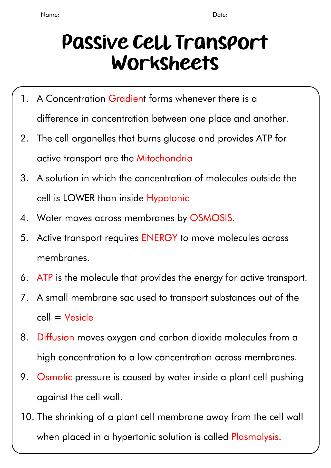 Passive Cell Transport Worksheet Answers Image