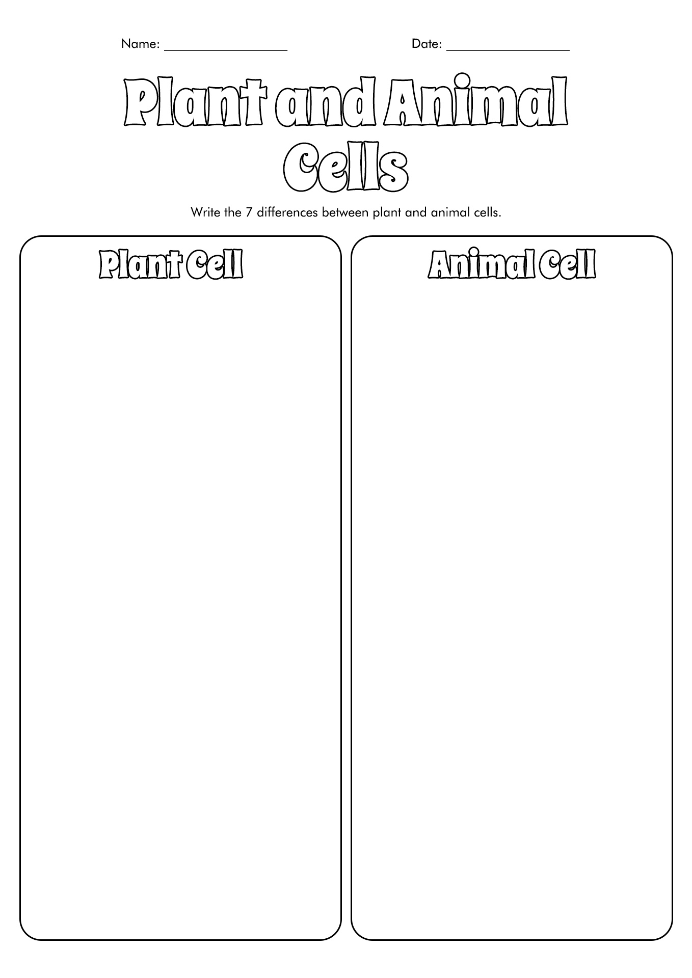 7th Grade Cell Worksheets