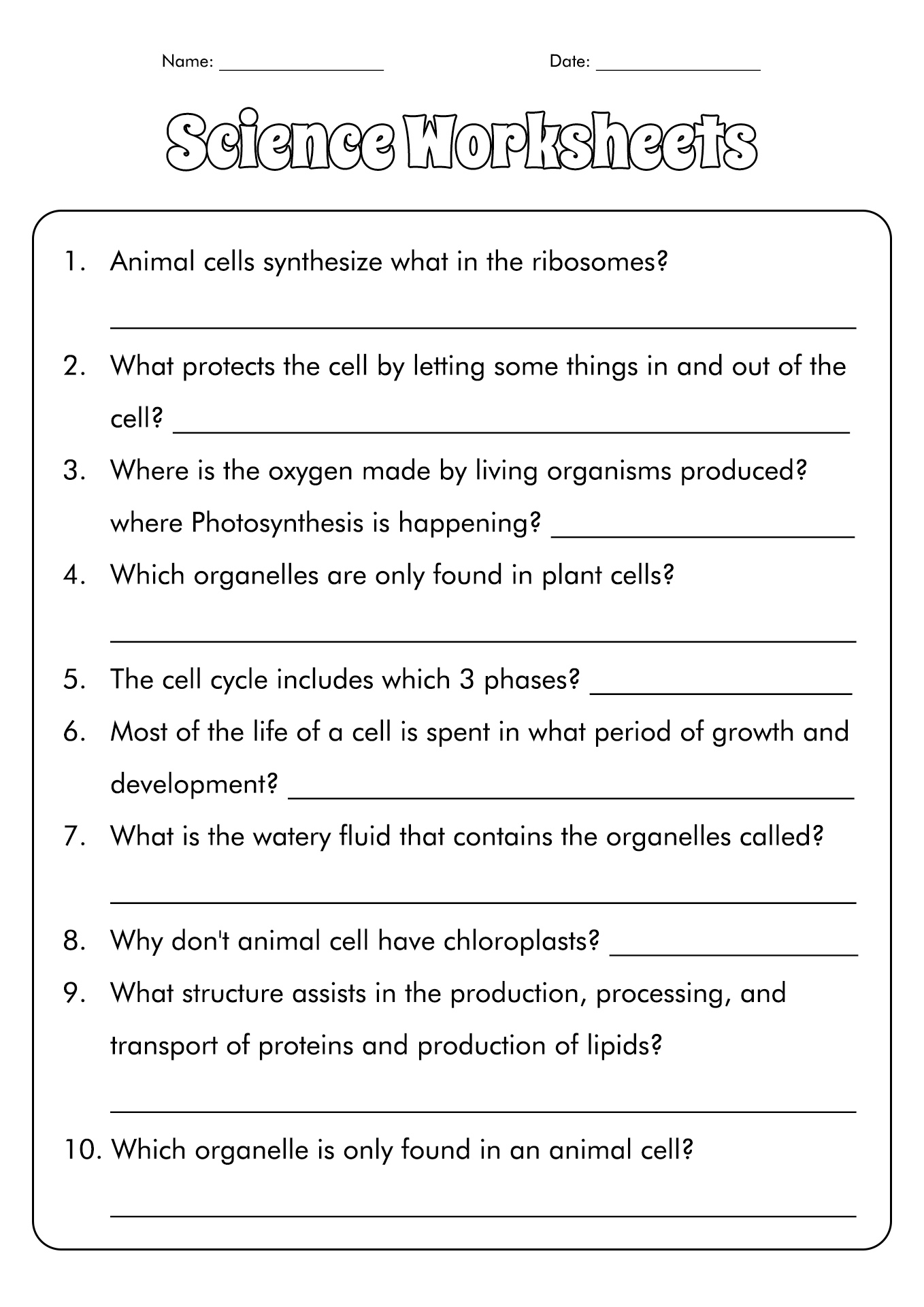 7th Grade Science Worksheets