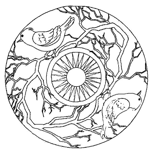Animal Mandala Coloring Pages Printable Image