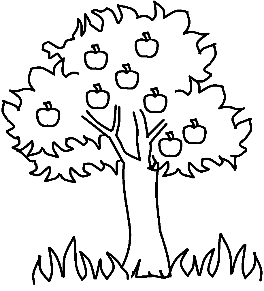 Apple Tree Coloring Pages Printable Image