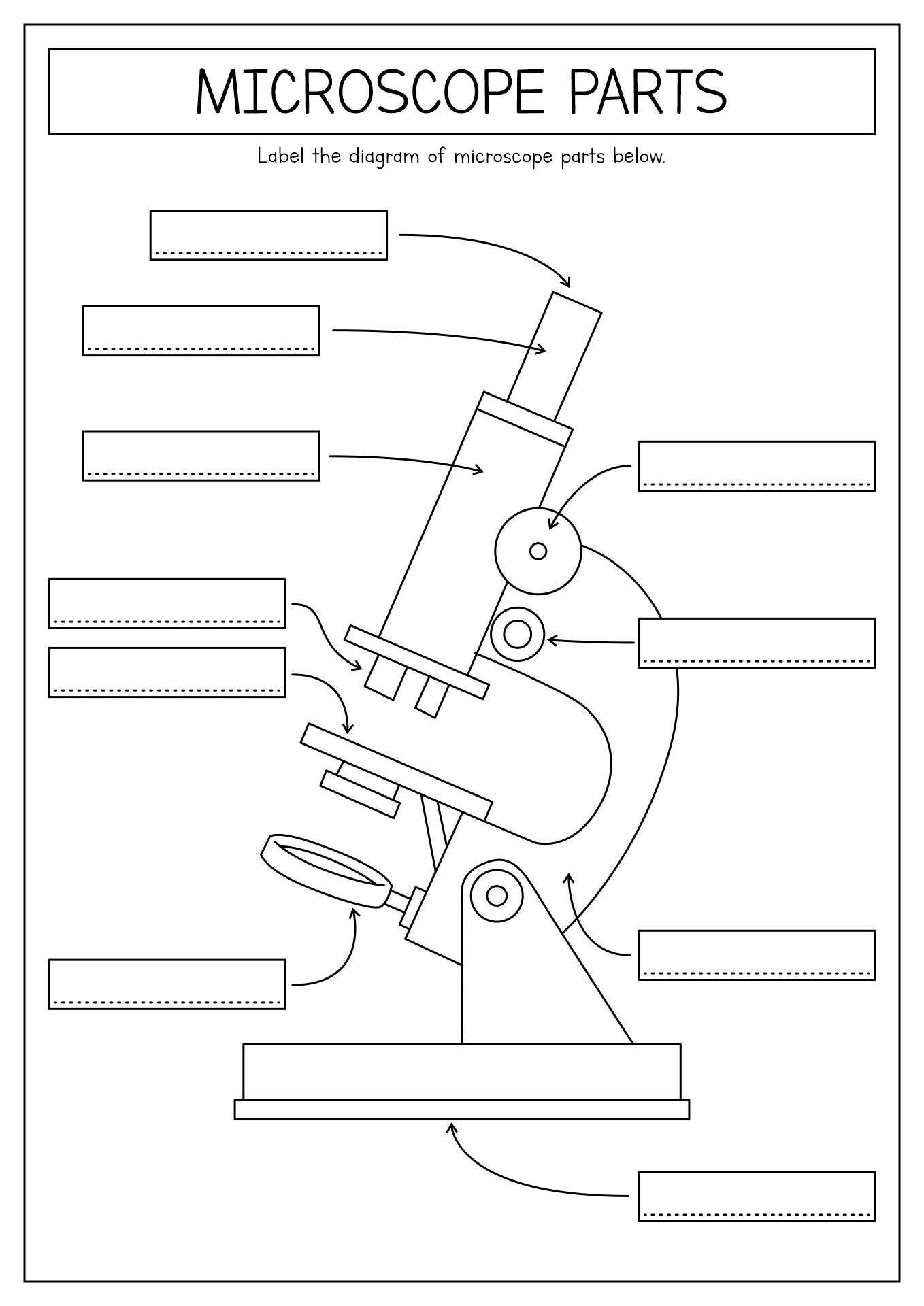 Blank Microscope Diagram Labeled