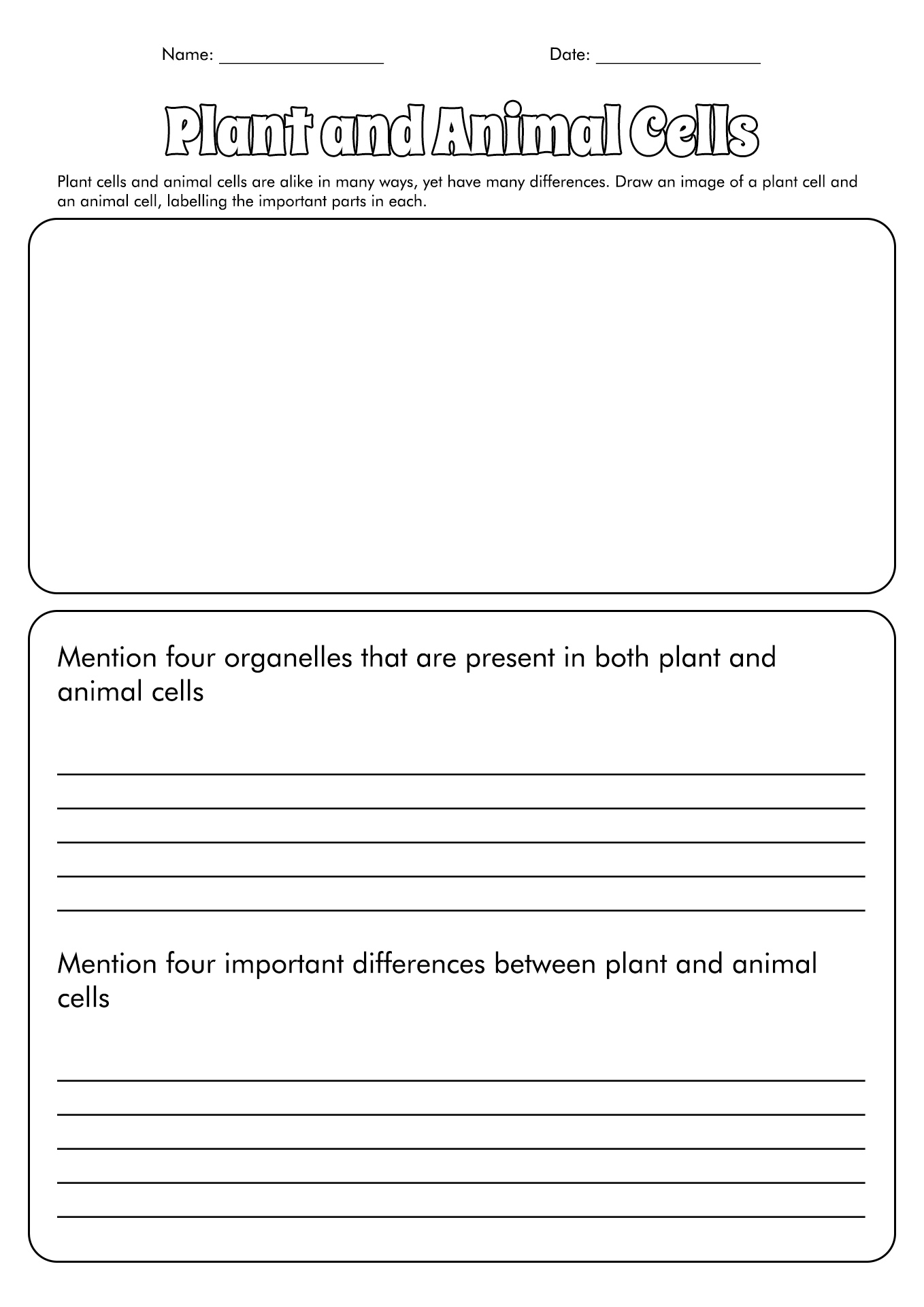 Cell Organelles 7th Grade Worksheets