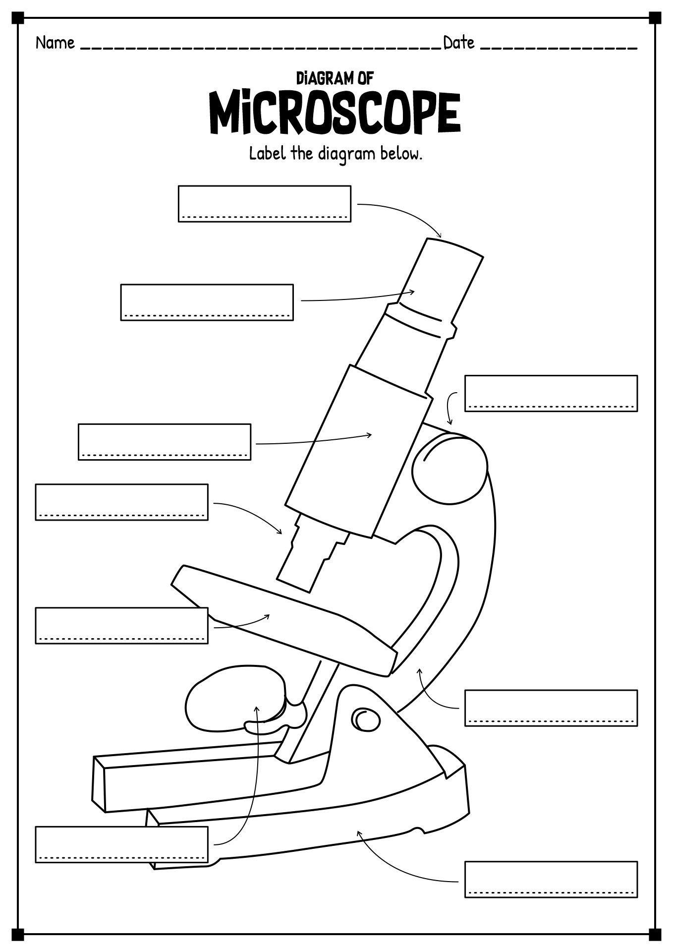 Cells and Microscope Worksheet