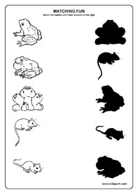 Kindergarten Shadow Worksheets Image
