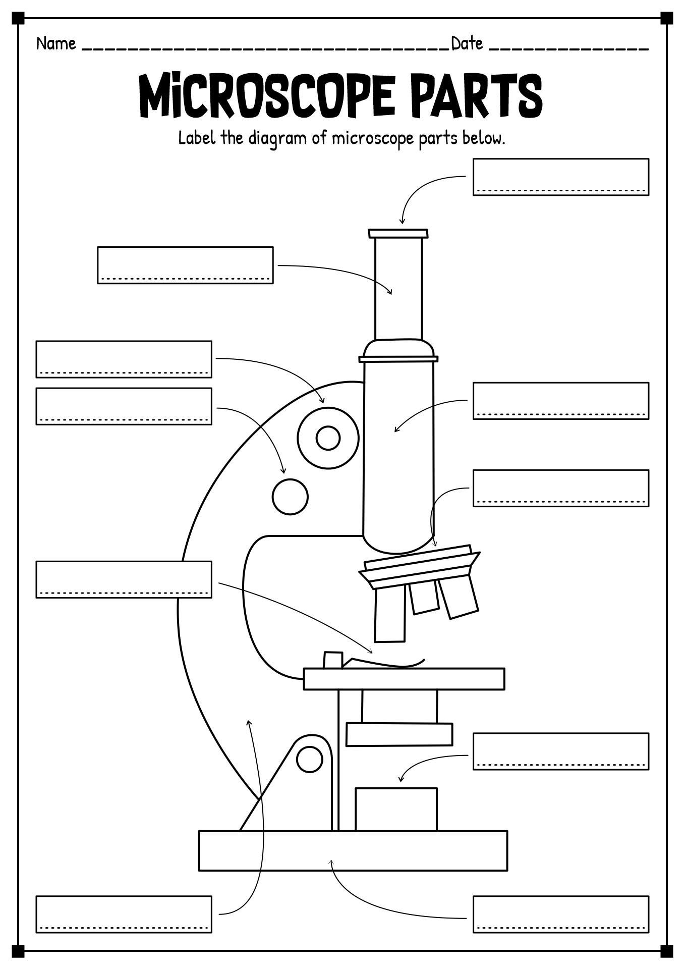 Label Microscope Parts Worksheet