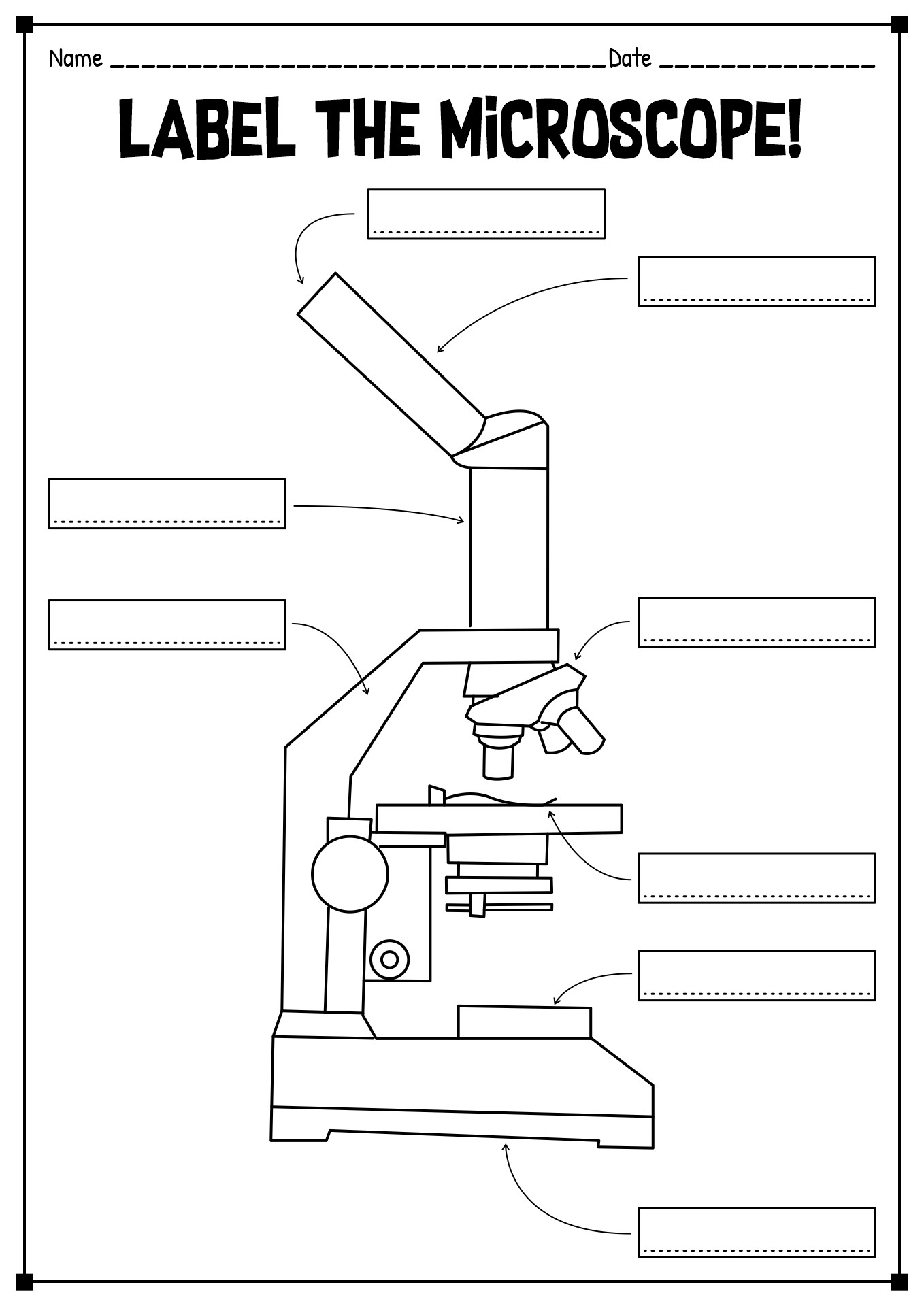 Label Microscope Parts Worksheet