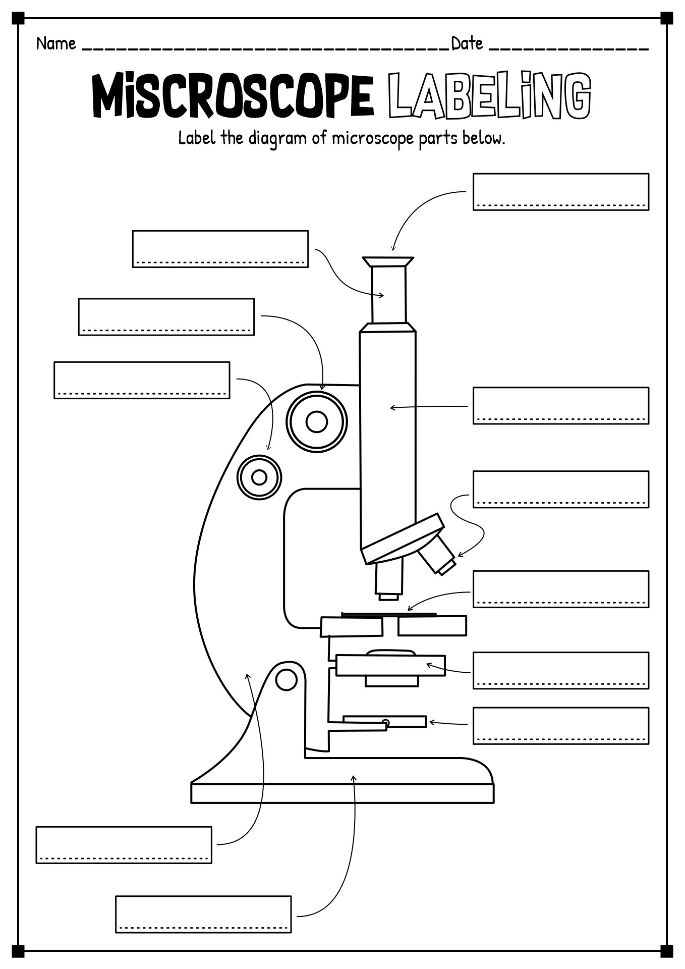 Light Microscope Parts Worksheet