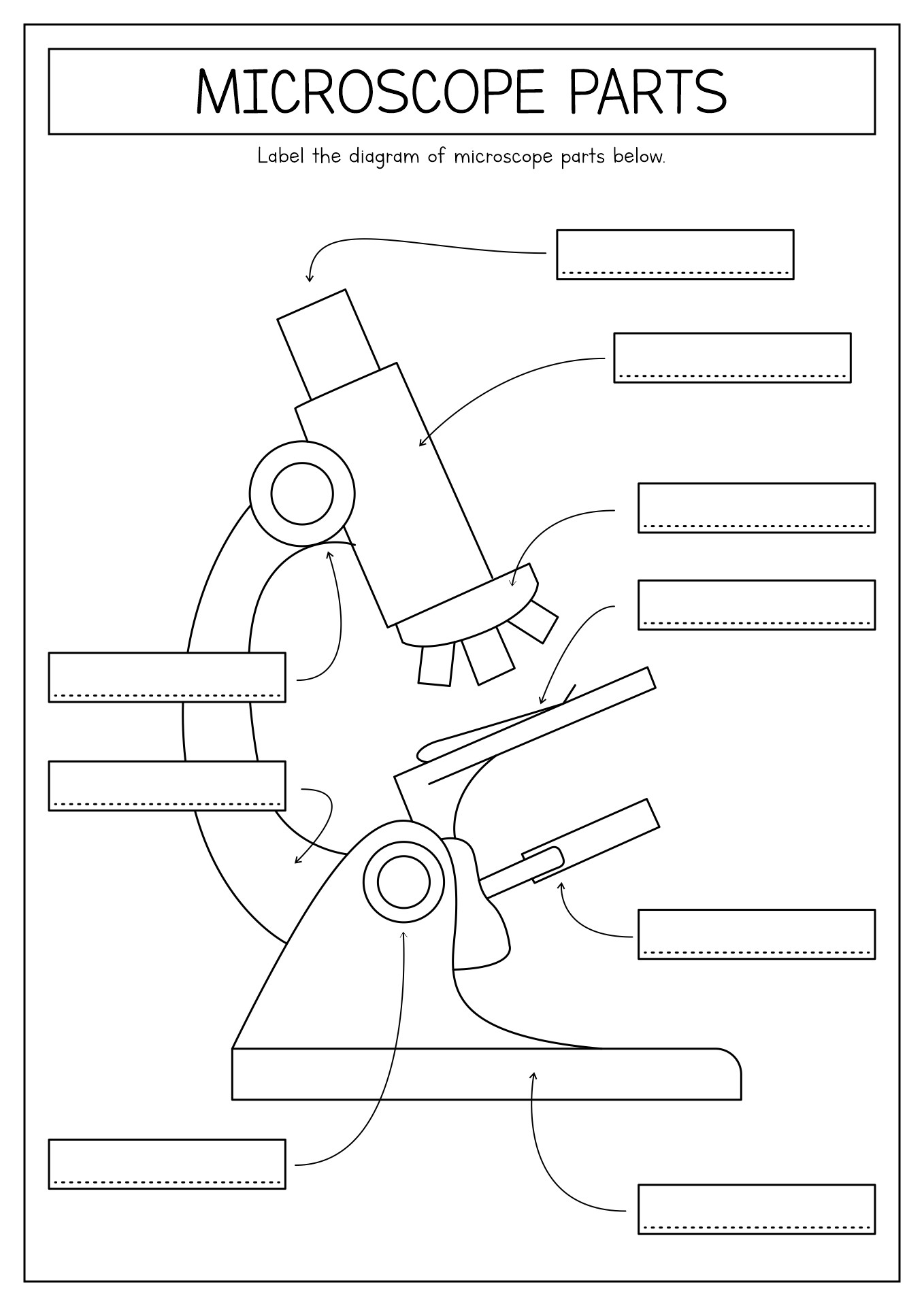 Microscope Parts Printable Worksheet