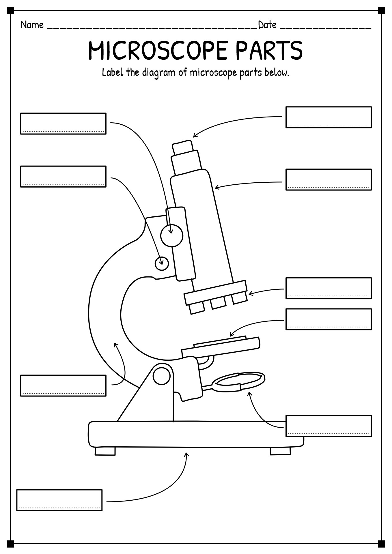 15 Printable Microscope Worksheet - Free PDF at worksheeto.com