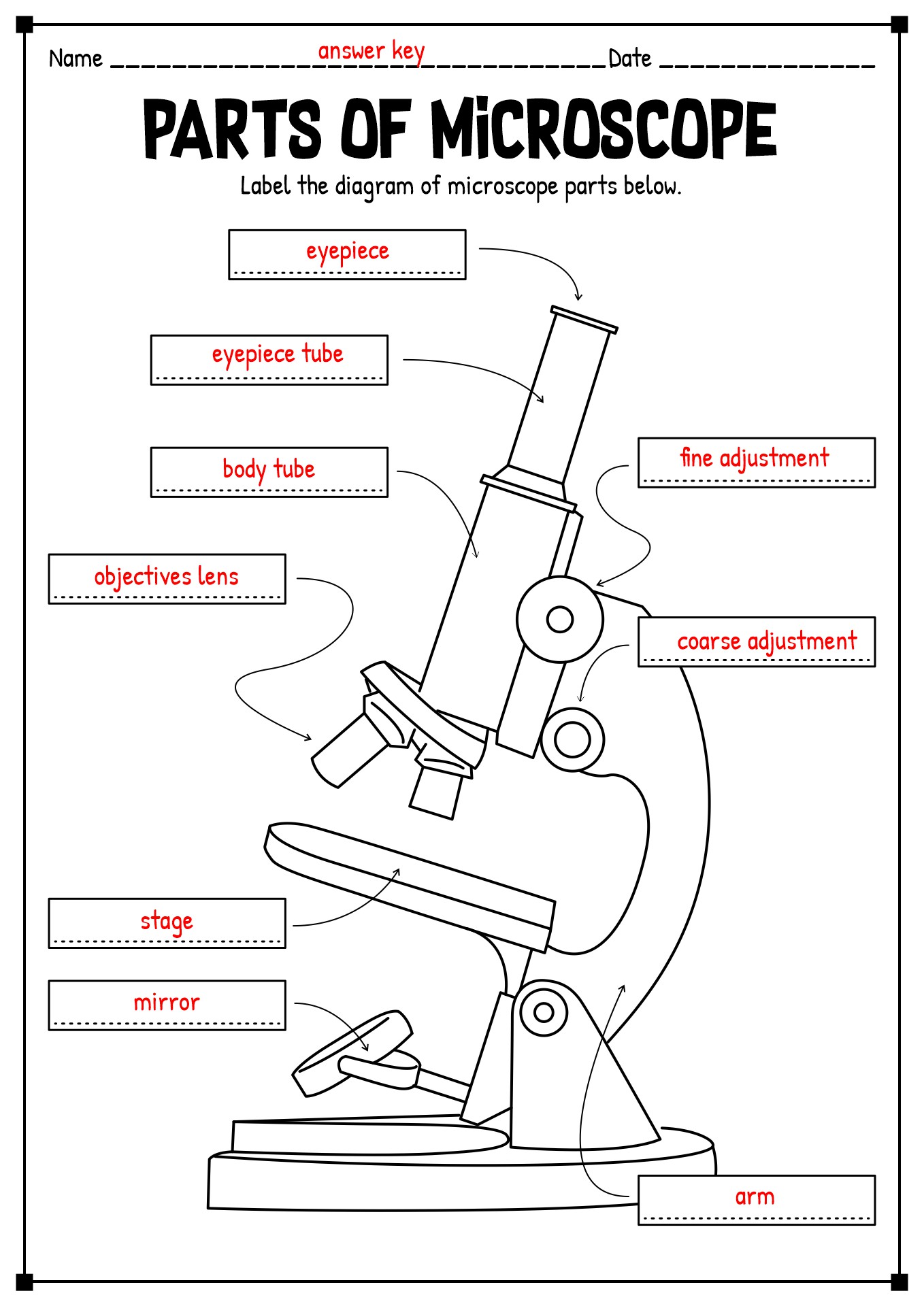 15 Printable Microscope Worksheet - Free PDF at worksheeto.com