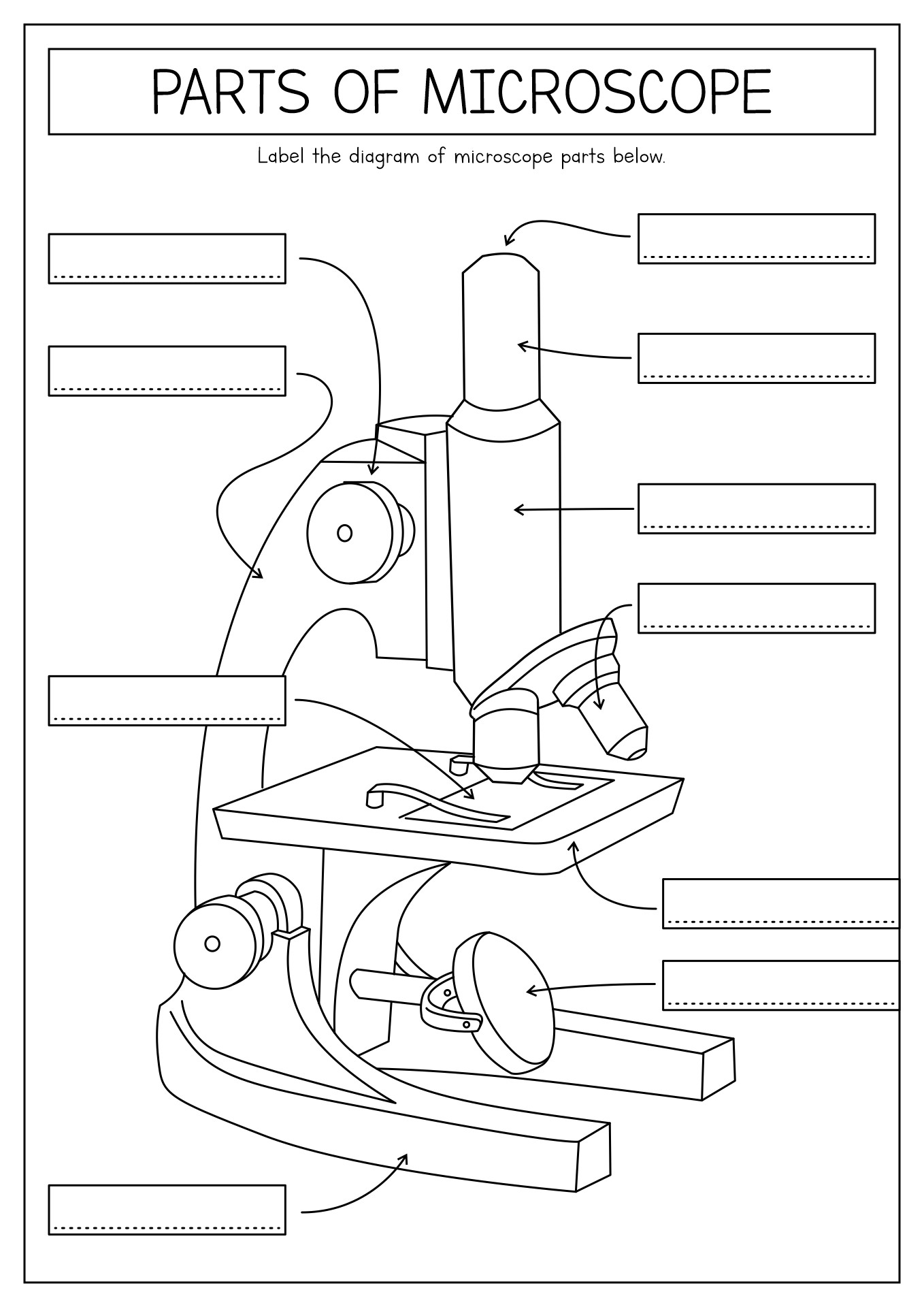 15 Printable Microscope Worksheet - Free PDF at worksheeto.com