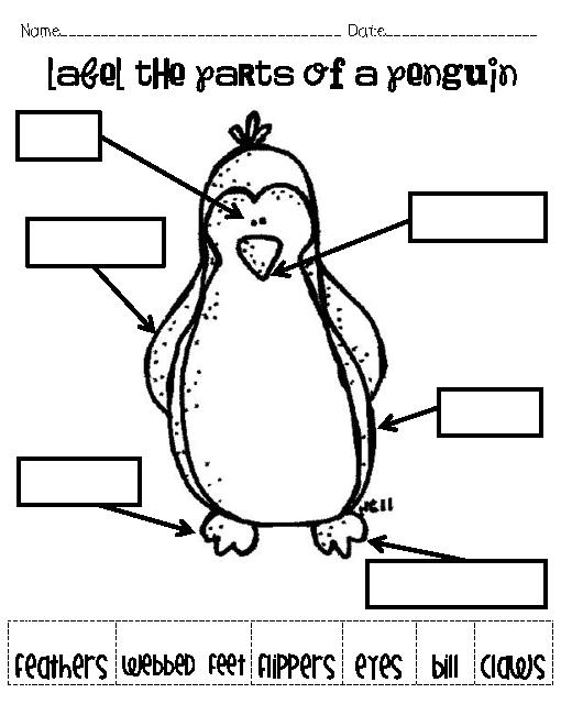 Penguin Body Parts Printable