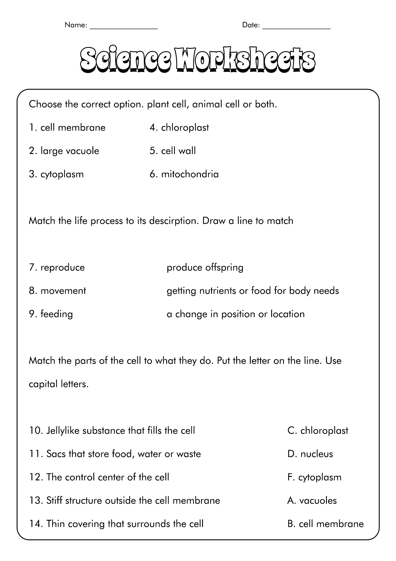 Plant and Animal Cell Worksheets 7th Grade