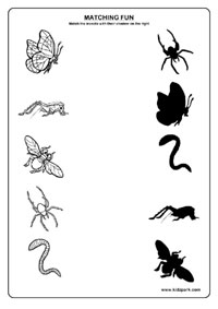 Preschool Insect Worksheets Image
