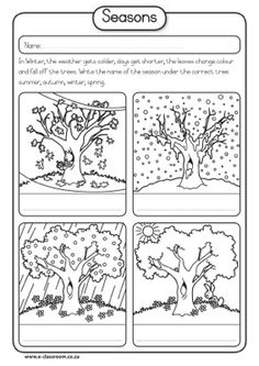 Seasons Cut and Paste Worksheet Image