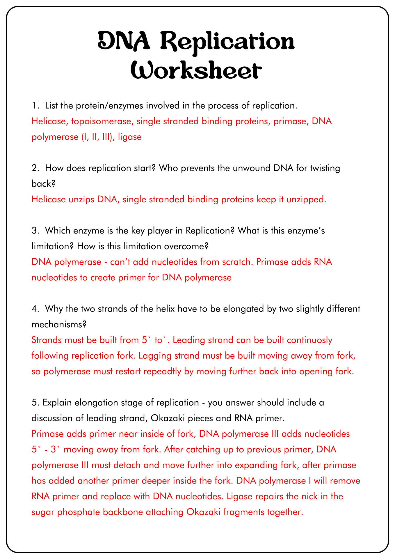 DNA Replication Worksheet Answer Key Image