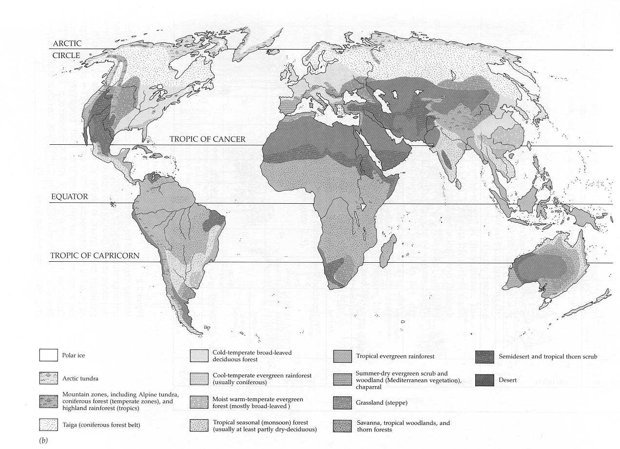 World Biome Map Image