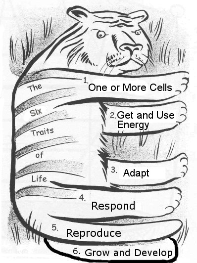 7th Grade Life Science Worksheets Image