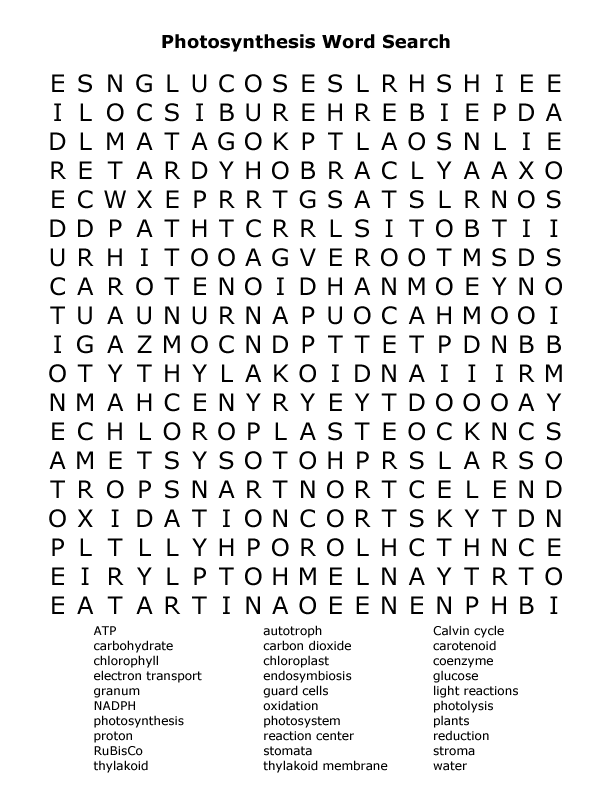 7th Grade Science Word Search Image