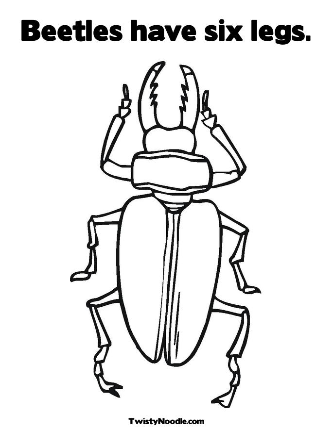 Beetle Coloring Pages Printable Image