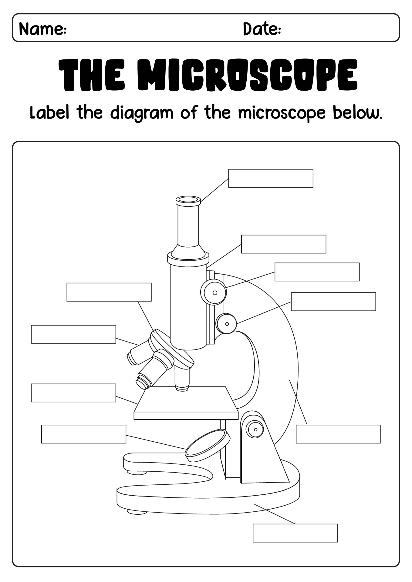 17-microscope-labeling-worksheet-worksheeto