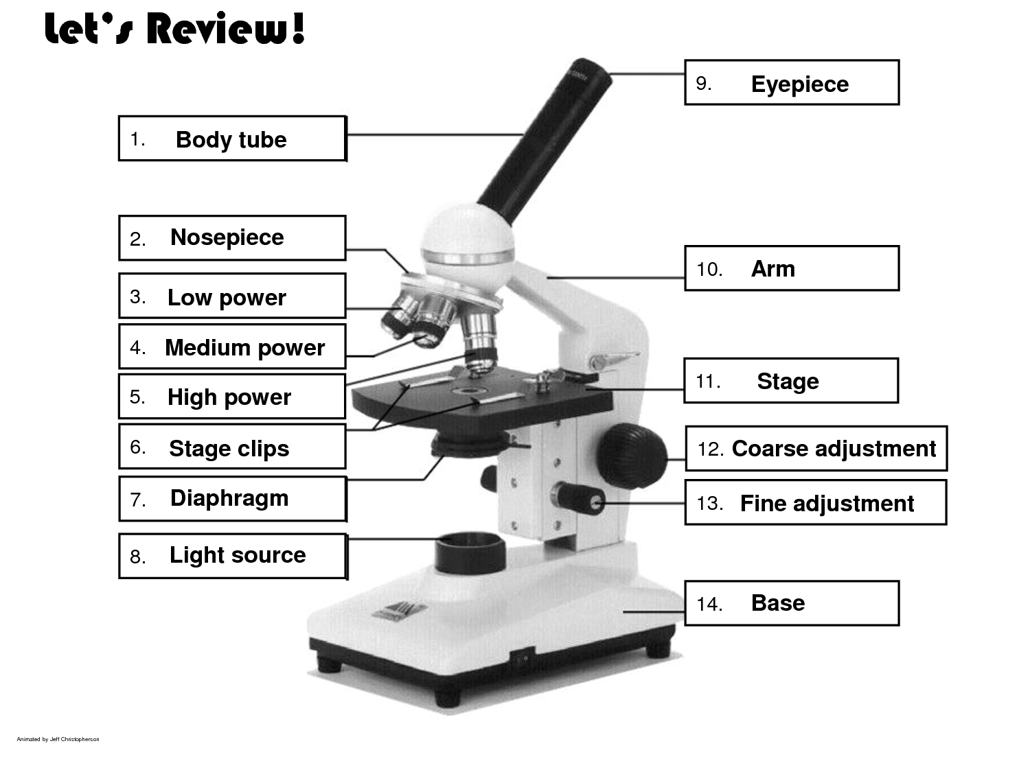 17-microscope-labeling-worksheet-worksheeto