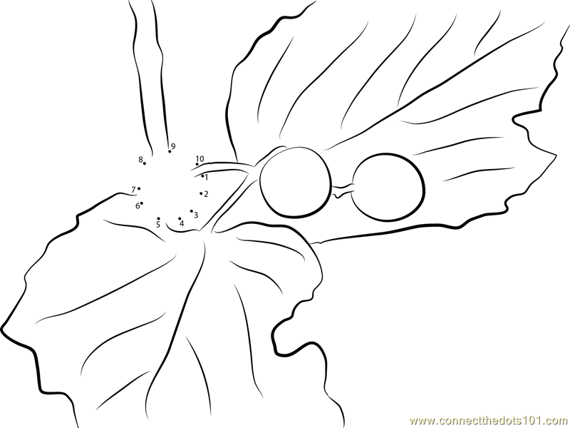 Cranberries Coloring Page Image
