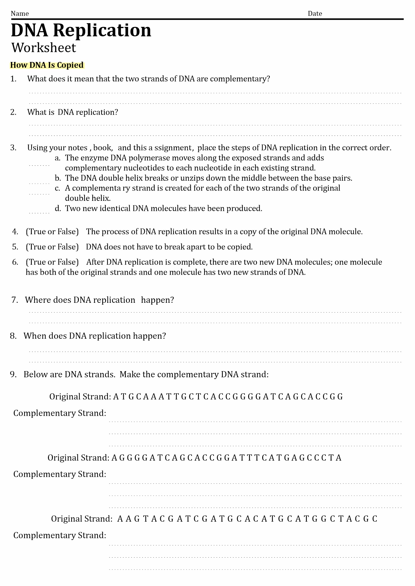 DNA Replication Worksheet Image