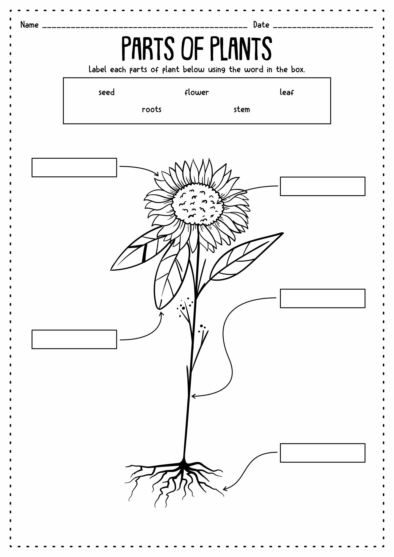 13-animals-kindergarten-worksheet-printables-free-pdf-at-worksheeto