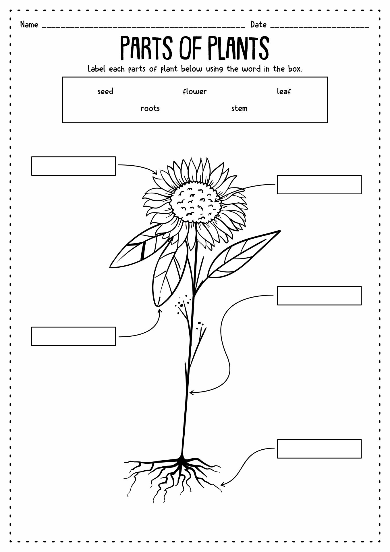 easy-science-experiments-for-preschoolers